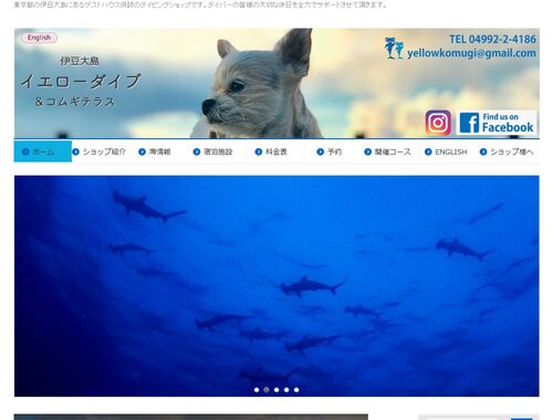 イエローダイブ