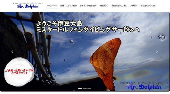 伊豆大島ミスタードルフィンダイビングサービス
