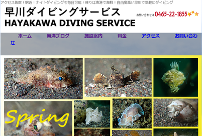 早川ダイビングサービス